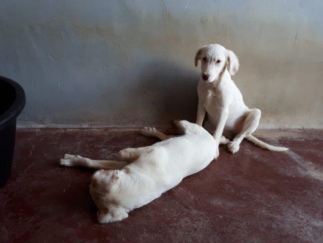 WhatsApp Image 2019-06-22 at 14.07.02