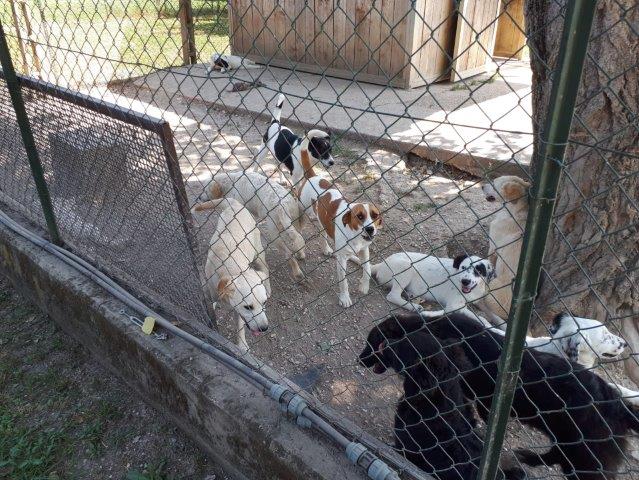 WhatsApp Image 2019-06-22 at 14.07.07