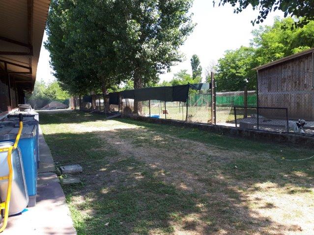 WhatsApp Image 2019-06-22 at 14.07.13