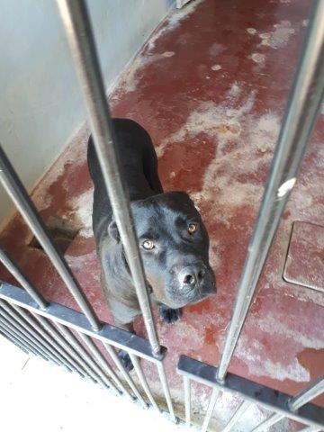 WhatsApp Image 2019-06-22 at 14.07.15 (2)