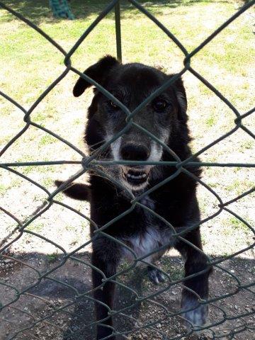 WhatsApp Image 2019-06-22 at 14.07.15