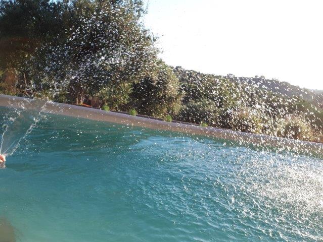 WhatsApp Image 2019-06-22 at 14.07.16 (1)