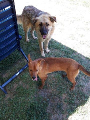 WhatsApp Image 2019-06-22 at 14.07.16 (5)