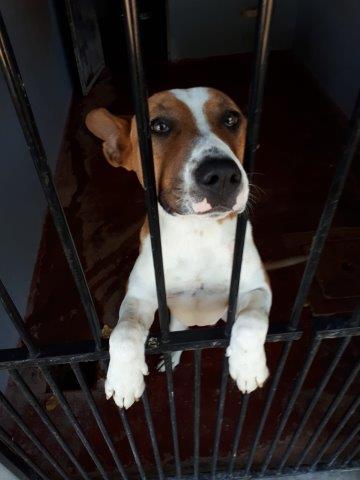 WhatsApp Image 2019-06-22 at 14.07.16