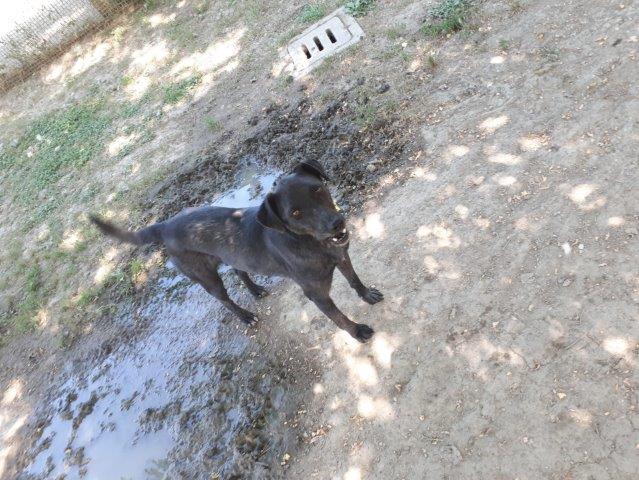 WhatsApp Image 2019-06-22 at 14.07.17 (1)