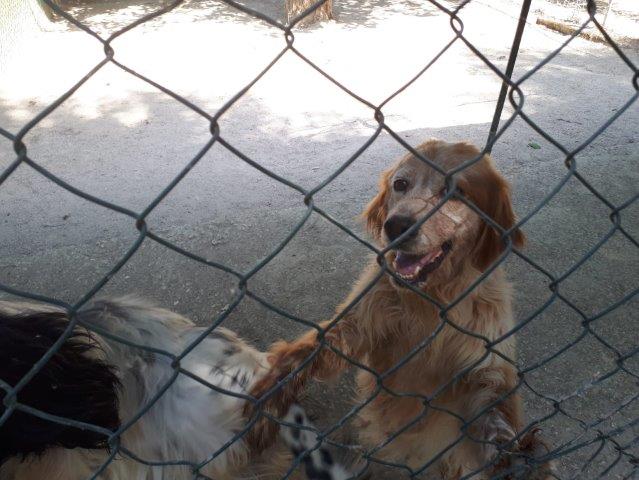 WhatsApp Image 2019-06-22 at 14.07.17 (2)