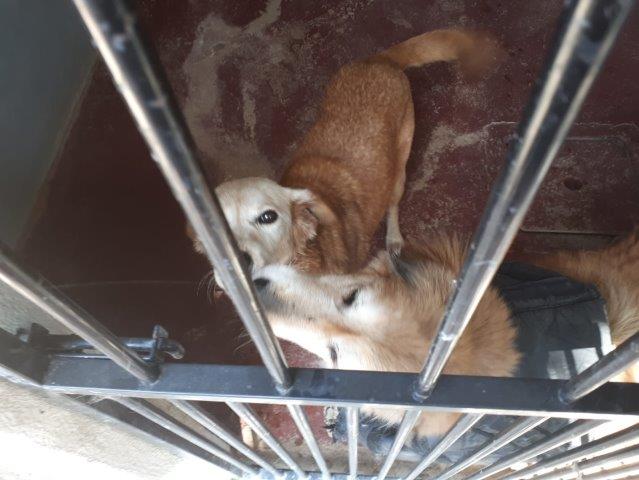 WhatsApp Image 2019-06-22 at 14.07.17