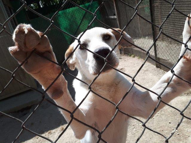 WhatsApp Image 2019-06-22 at 14.07.19