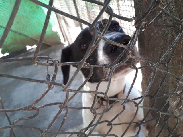 WhatsApp Image 2019-06-22 at 14.07.20 (1)