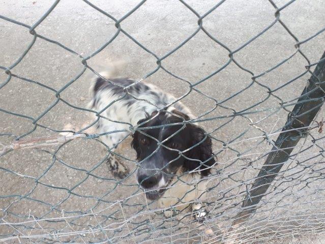 WhatsApp Image 2019-06-22 at 14.07.20