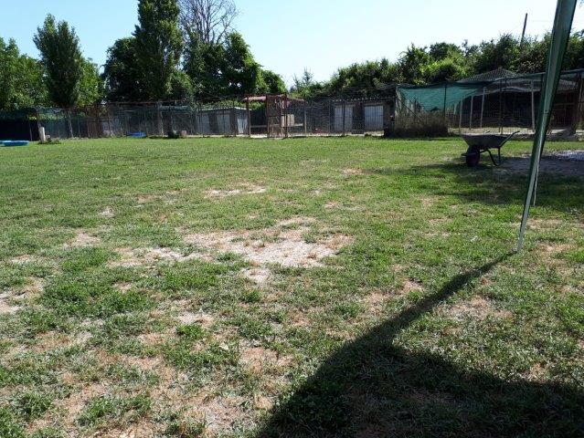 WhatsApp Image 2019-06-22 at 14.07.25