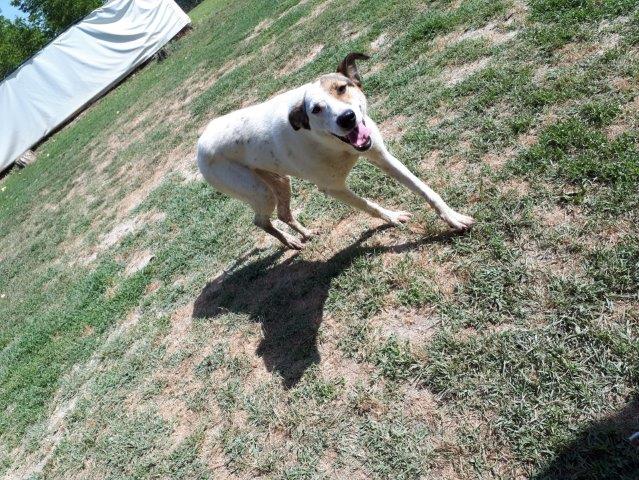 WhatsApp Image 2019-06-22 at 14.07.28