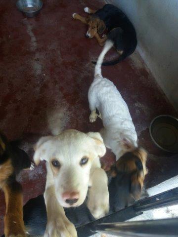 WhatsApp Image 2019-06-22 at 14.09.23