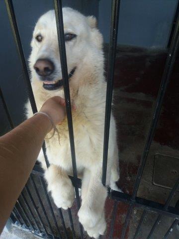 WhatsApp Image 2019-06-22 at 14.09.24 (1)