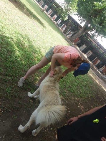 WhatsApp Image 2019-06-22 at 14.09.24 (2)