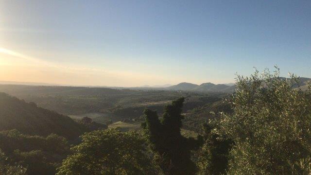 WhatsApp Image 2019-06-22 at 14.09.24 (3)