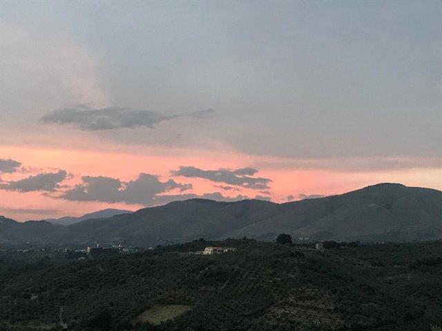 WhatsApp Image 2019-06-22 at 14.09.25 (1)