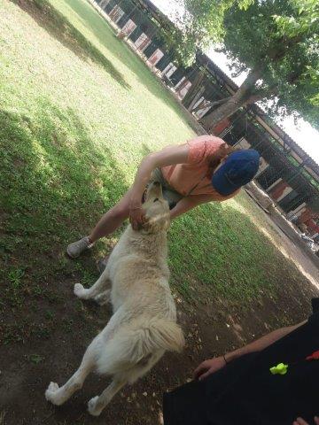 WhatsApp Image 2019-06-22 at 15.19.09 (1)