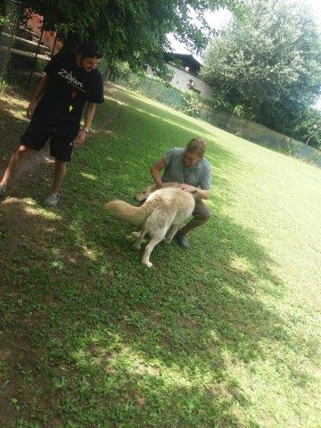 WhatsApp Image 2019-06-22 at 15.19.09 (2)