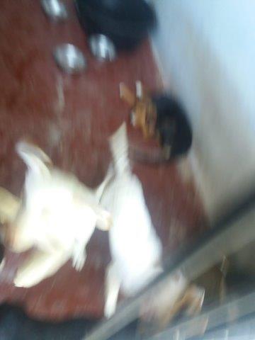 WhatsApp Image 2019-06-22 at 15.19.11