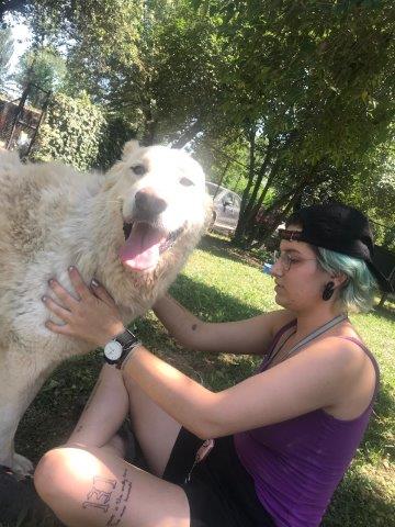 WhatsApp Image 2019-06-22 at 15.19.12 (2)