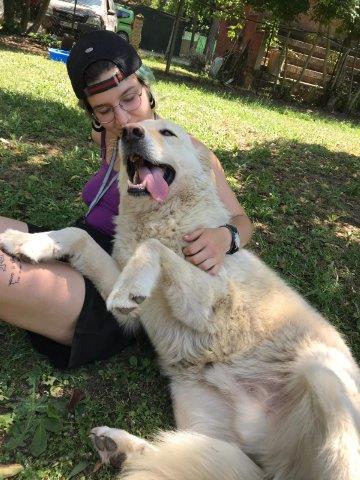 WhatsApp Image 2019-06-22 at 15.19.12