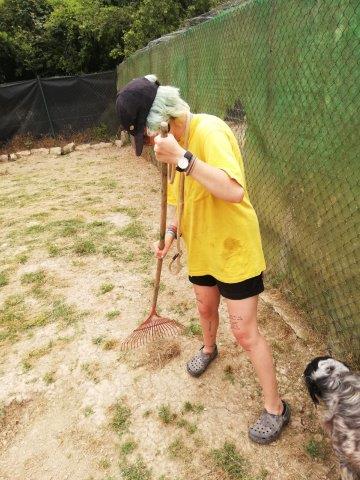 WhatsApp Image 2019-06-22 at 20.15.28