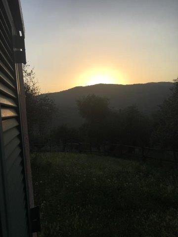 WhatsApp Image 2019-06-23 at 14.17.51 (1)