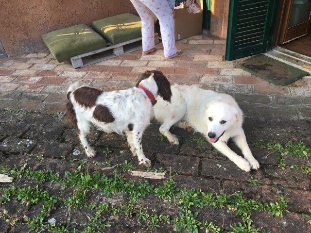 WhatsApp Image 2019-06-23 at 14.17.51 (10)