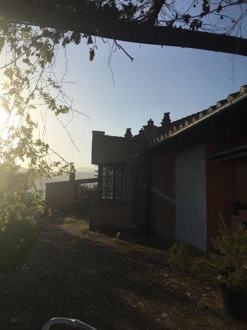 WhatsApp Image 2019-06-23 at 14.17.51 (11)