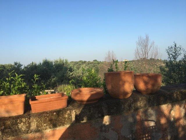 WhatsApp Image 2019-06-23 at 14.17.51 (13)