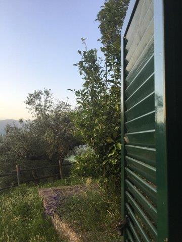 WhatsApp Image 2019-06-23 at 14.17.51 (4)