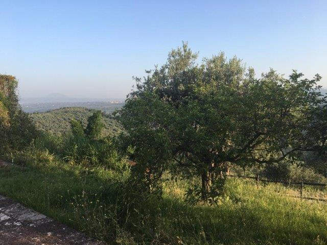 WhatsApp Image 2019-06-23 at 14.17.51 (7)