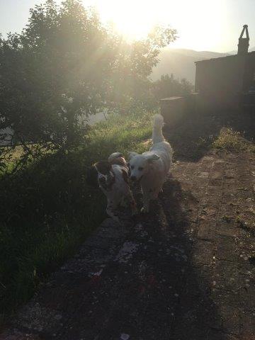 WhatsApp Image 2019-06-23 at 14.18.37