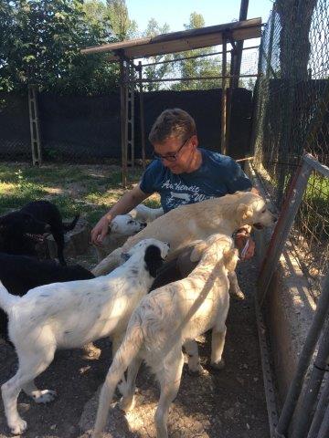 WhatsApp Image 2019-06-23 at 14.18.38 (10)