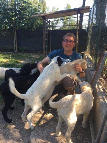 WhatsApp Image 2019-06-23 at 14.18.38 (12)