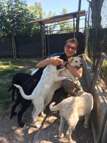 WhatsApp Image 2019-06-23 at 14.18.38 (17)