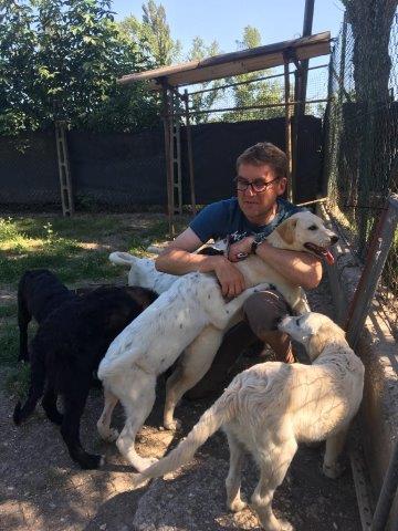 WhatsApp Image 2019-06-23 at 14.18.38 (19)