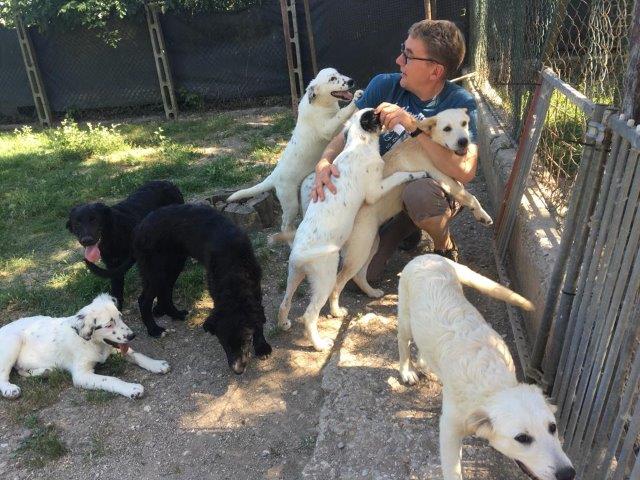 WhatsApp Image 2019-06-23 at 14.18.38 (20)