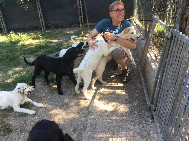 WhatsApp Image 2019-06-23 at 14.18.38 (21)