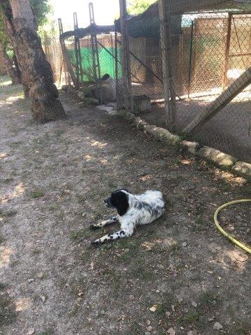 WhatsApp Image 2019-06-23 at 14.18.38 (3)