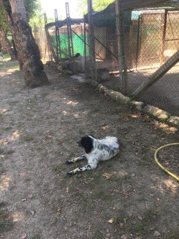 WhatsApp Image 2019-06-23 at 14.18.38 (4)