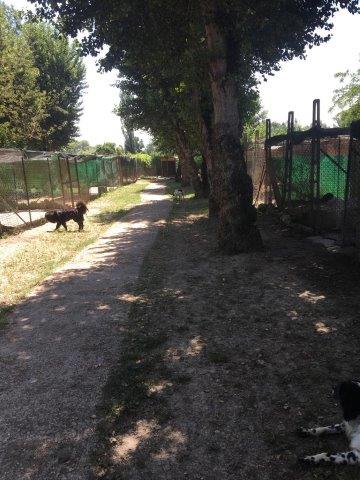 WhatsApp Image 2019-06-23 at 14.18.38 (5)