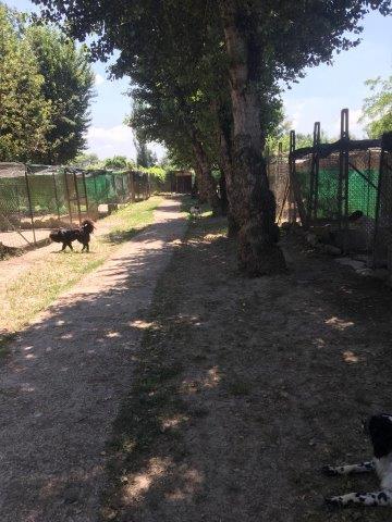 WhatsApp Image 2019-06-23 at 14.18.38 (6)