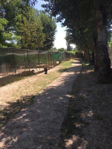 WhatsApp Image 2019-06-23 at 14.18.38 (7)