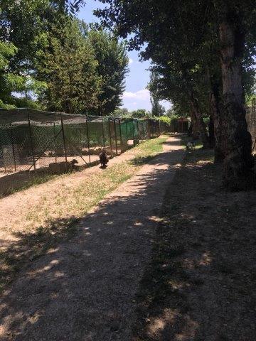 WhatsApp Image 2019-06-23 at 14.18.38 (8)