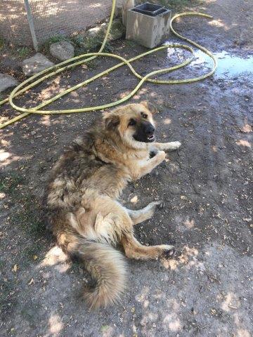 WhatsApp Image 2019-06-23 at 14.18.38 (9)