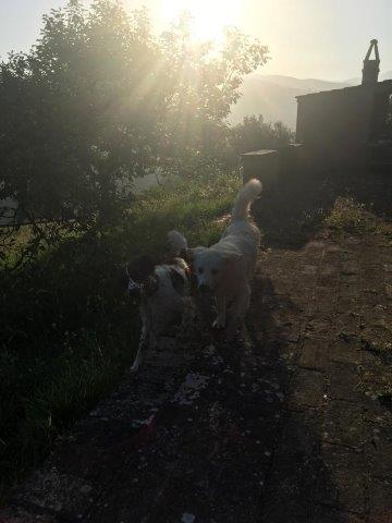 WhatsApp Image 2019-06-23 at 14.18.38