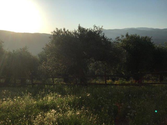 WhatsApp Image 2019-06-23 at 14.20.42