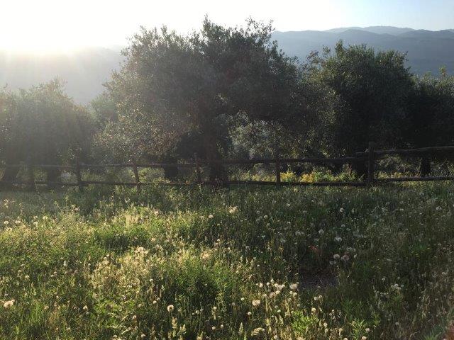 WhatsApp Image 2019-06-23 at 14.20.45 (1)